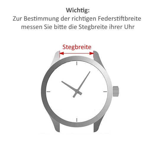 Federsteg Entfernungswerkzeug und 4 Federstege für ihr Uhrarmband